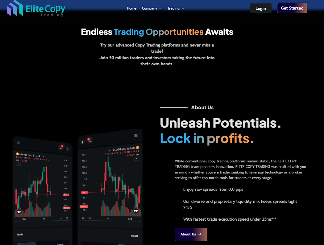 Screenshot of elitecopytrd.com visually identical to metroedgecopytd.com