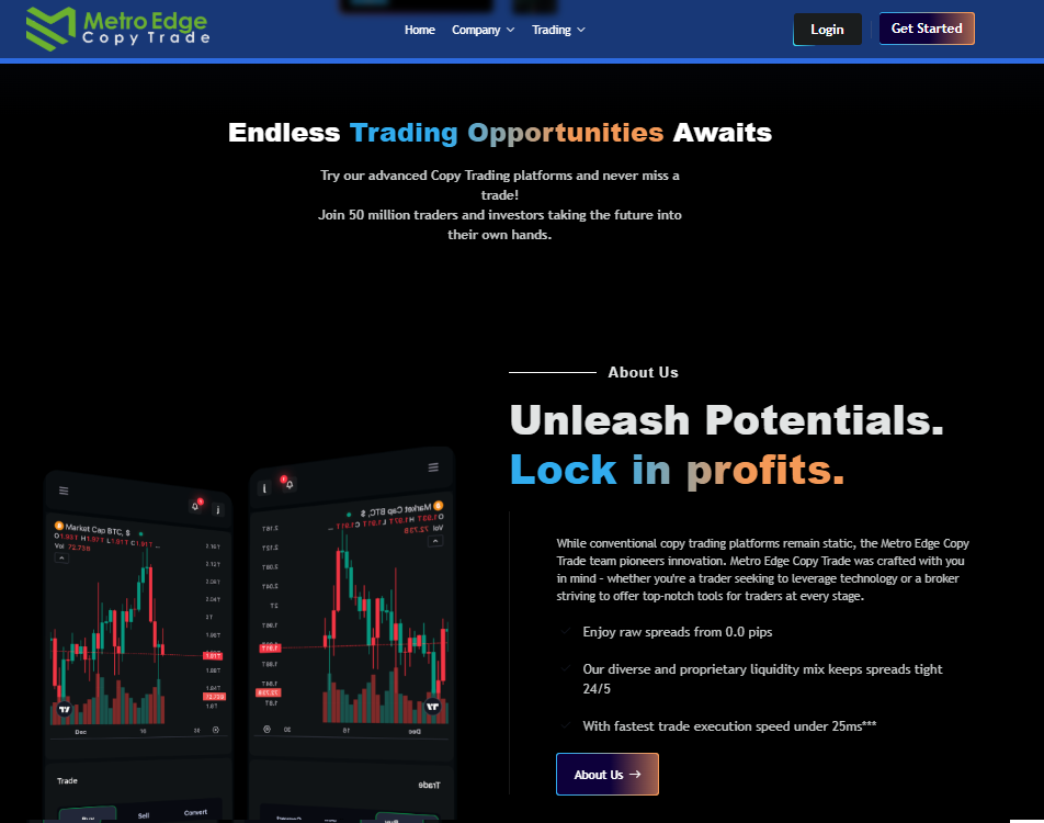 Homepage of metroedgecopytd.com with the stated information
